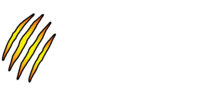 Bear Track